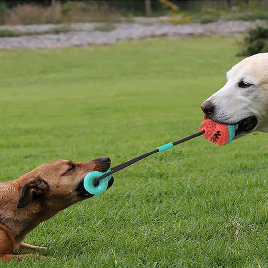Novo design rolando cachorro jogar bola quebra-cabeça e brinquedo de mastigar para animais de estimação trata bola de borracha brinquedo rolagem infinita brinquedos para cães